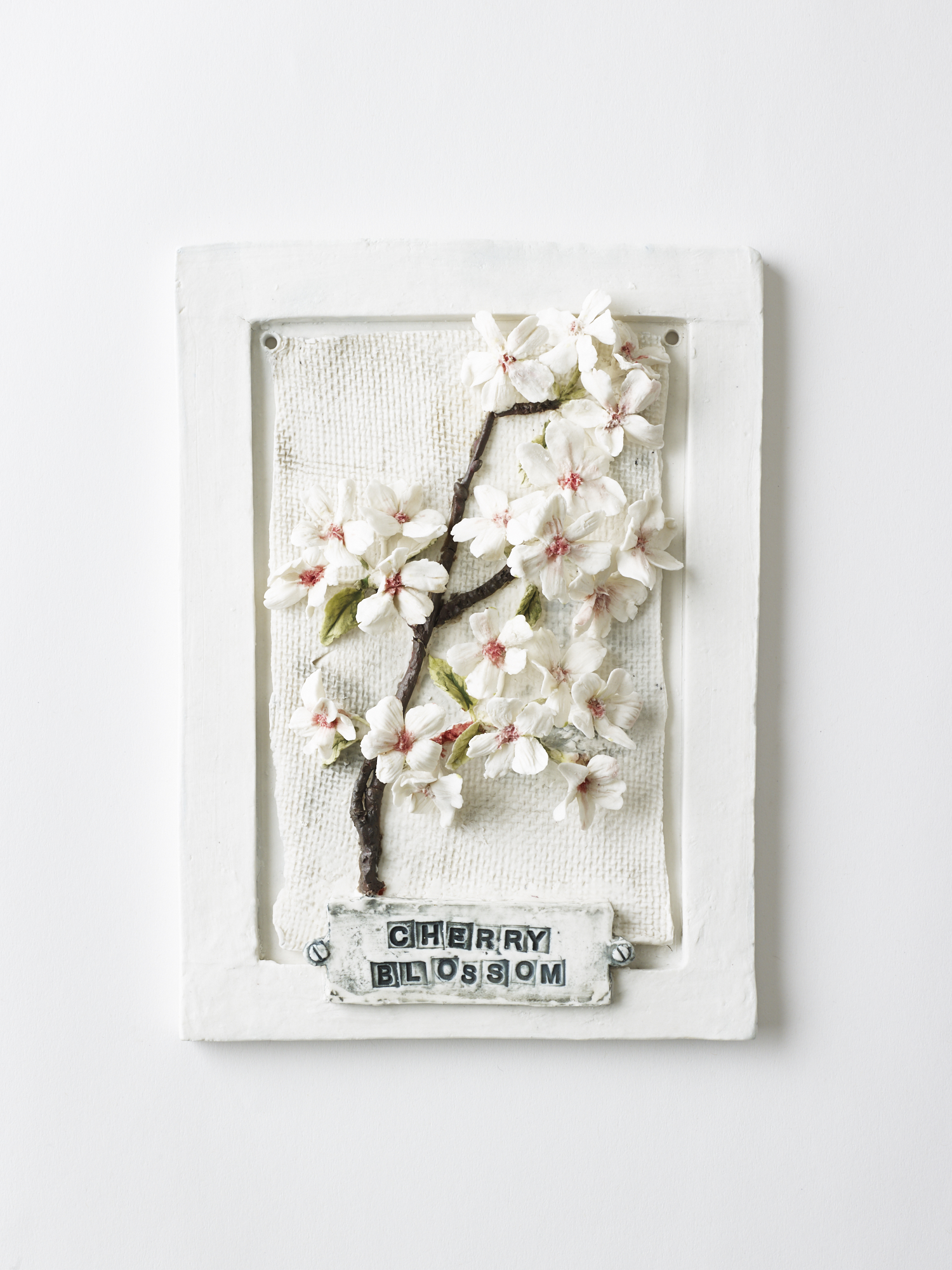 Cherry Blossom