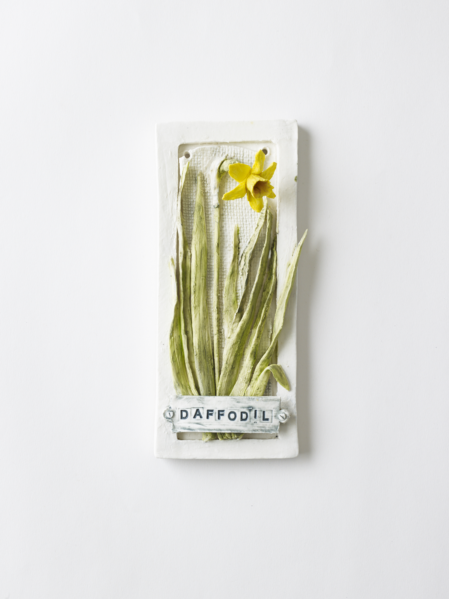 Daffodil