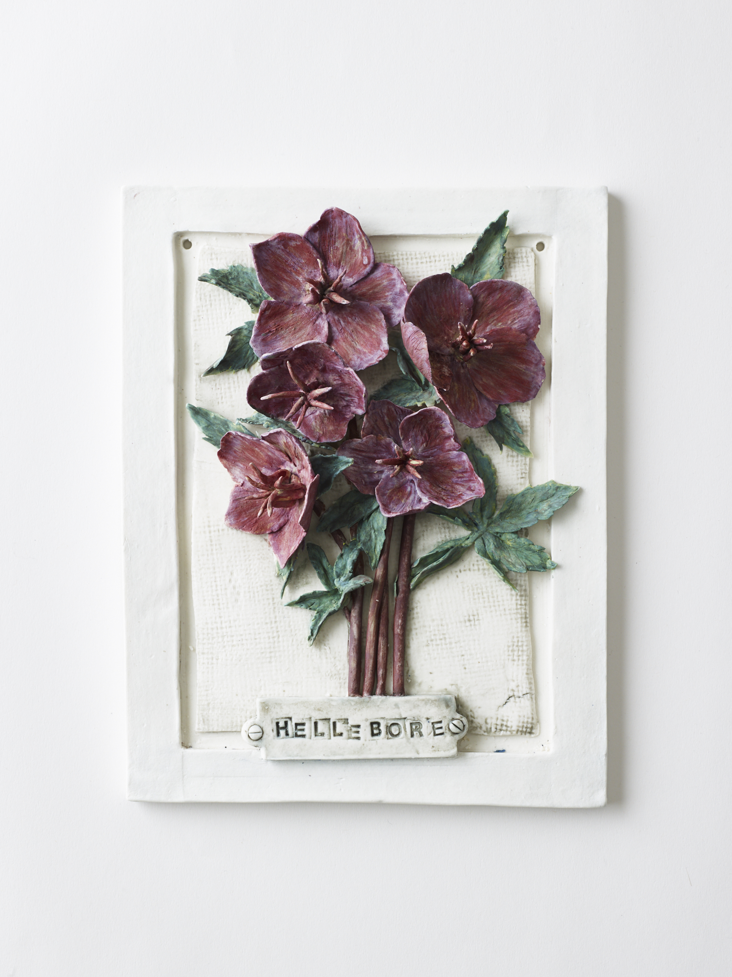 Hellebore
