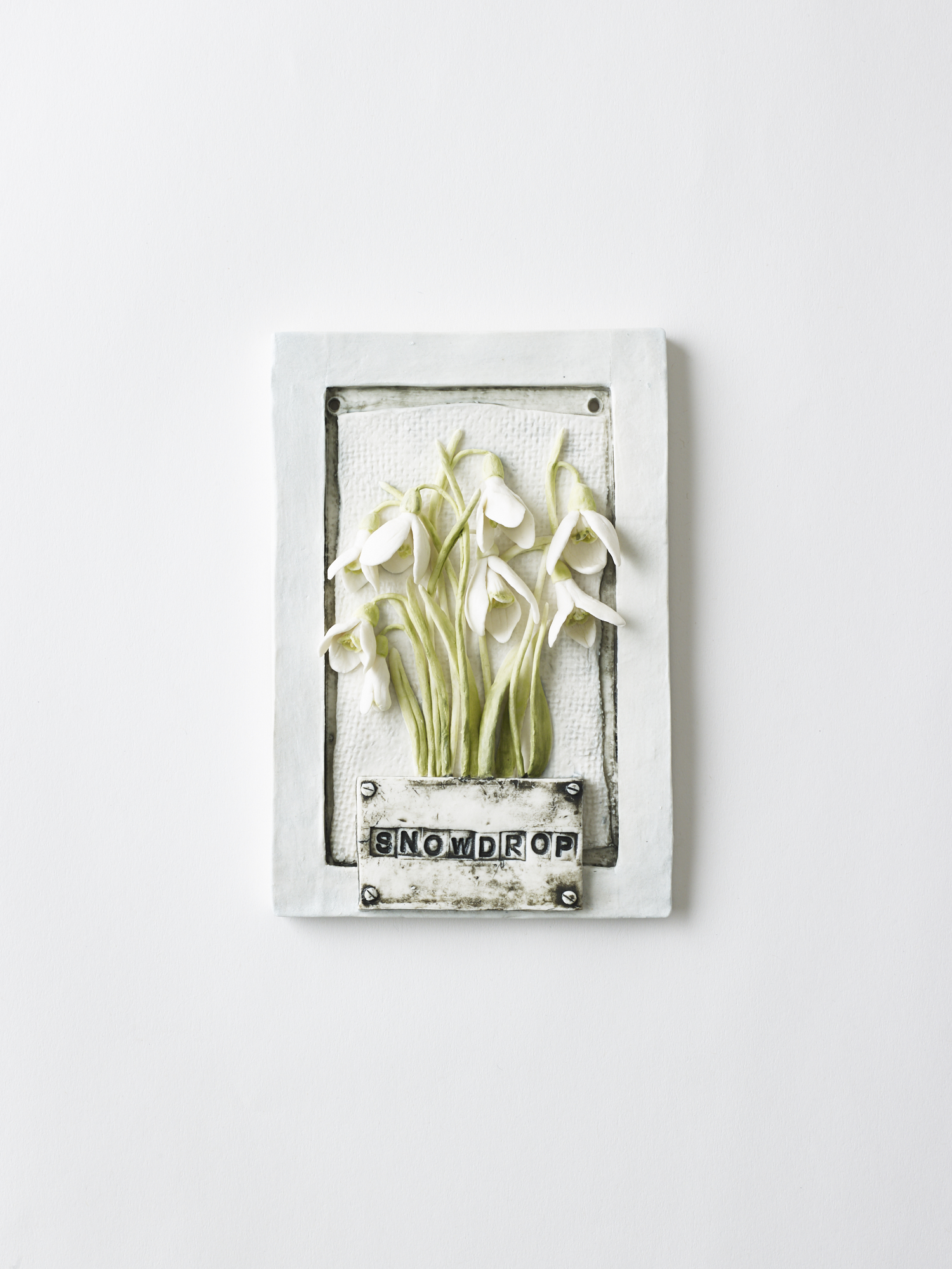Snowdrop